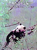 Pandas (Portrait of the Animal World)