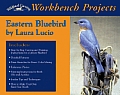 Eastern Bluebird (Wildfowl Carving Magazine Workbench Projects)