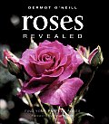 Roses Revealed: Find Your Perfect Roses