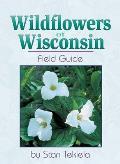 Wildflowers of Wisconsin: Field Guide (Wildflowers of . . . Field Guides)