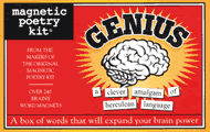 Genius Kit (Magnetic Poetry)