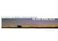 Picturing California's Other Landscape: The Great Central Valley