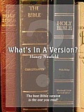 What's in a Version?