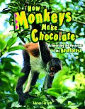 How Monkeys Make Chocolate: Unlocking the Mysteries of the Rainforest Cover