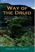 Way of the Druid: Renaissance of a Celtic Religion and Its Relevance
