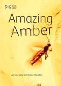 Amazing Amber Cover