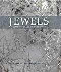 Jewels from Imperial St. Petersburg Cover