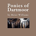 Ponies of Dartmoor