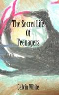 The Secret Life of Teenagers: Confessions of a High School Counselor