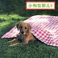 Where's The Puppy?
