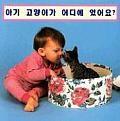 Where's The Kitten?