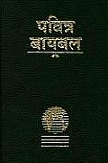 Marathi Bible: Easy-To-Read Version