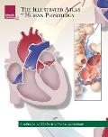 The Illustrated Atlas of Human Physiology: A Collection of 20 Anatomical Charts of Human Physiology