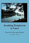 Awaiting Permission to Land Cover