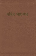 Gujarati Bible: Easy-To-Read Version