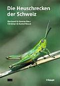 Die Heuschrecken Der Schweiz