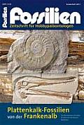 Plattenkalkfossilien Von Der Frankenalb