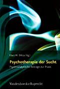 Psychotherapie Der Sucht: Psychoanalytische Beitrage Zur Praxis