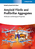 Amyloid Fibrils and Prefibrillar Aggregates: Molecular and Biological Properties