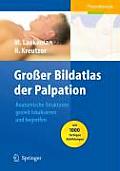 Groer Bildatlas Der Palpation: Anatomische Strukturen Gezielt Lokalisieren Und Begreifen