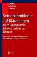 Betriebsprobleme Auf Klaranlagen Durch Blahschlamm, Schwimmschlamm, Schaum: Handbuch Zur Identifizierung Und Bekampfung Fadiger Bakterien