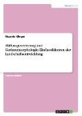 Abflussgenerierung Und Gerinnemorphologie: Einflussfaktoren Der Landschaftsentwicklung