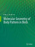 Molecular Geometry of Body Pattern in Birds