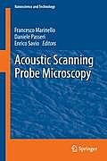 Acoustic Scanning Probe Microscopy (Nanoscience and Technology)