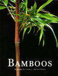 Bamboos