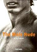 Male Nude
