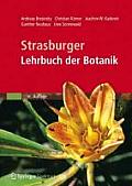Strasburger - Lehrbuch Der Botanik