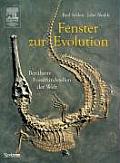 Fenster Zur Evolution: Ber??hmte Fossilfundstellen Der Welt