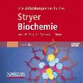 Bild-DVD, Stryer Biochemie: Die Abbildungen Des Buches