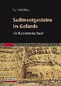 Sedimentgesteine Im Gelande: Ein Illustrierter Leitfaden