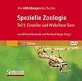 Bild-DVD, Spezielle Zoologie, Teil 1: Einzeller Und Wirbellose Tiere: Alle Abbildungen Des Buches