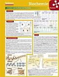 Lerntafel: Biochemie Im Berblick (Lerntafeln Biologie)