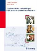 Akupunktur Und Phytotherapie Bei Kaninchen Und Meerschweinchen