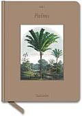 Palms - 2012