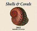 Shells 2012