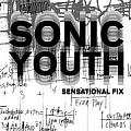 Sonic Youth: Sensational Fix