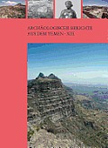 Archaologische Berichte Aus Dem Yemen #13: Figurale Bronzen Agyptischer Und Griechisch-Romischer Art Vom Jabal Al-'Awd, Jemen (Von Robert Fleischer Und Regine Schulz) - Die Felsmalereien Von Dj Cover
