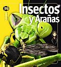 Insectos Y Aranas/ Insects and Spiders