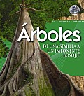 Arboles / Tree