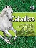 Caballos / Horse