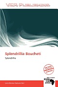 Splendrillia Boucheti