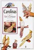 Carolinas / Cockatiel