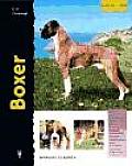Boxer