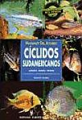 Ciclidos Sudamericanos - Cuidados, Crianzas, Espec