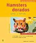 Hamsters Dorados / Gold Hamsters