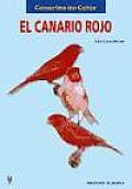 El Canario Rojo / the Red Canary